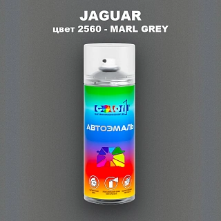 Аэрозольная краска JAGUAR, цвет 2560 - MARL GREY
