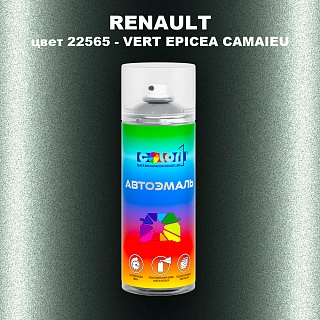 Аэрозольная краска RENAULT, цвет 22565 - VERT EPICEA CAMAIEU