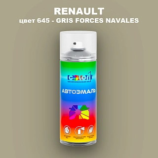Аэрозольная краска RENAULT, цвет 645 - GRIS FORCES NAVALES