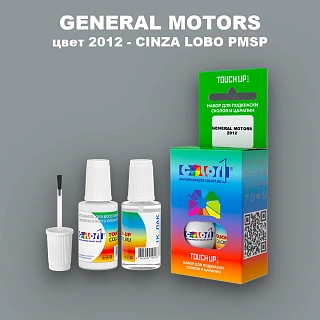 Краска для сколов во флаконе с кисточкой GM, цвет  2012 - CINZALOBOPMSP