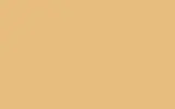 Автомобильная краска FORD, цвет 894 - CREAM (SAHARA) BEIGE