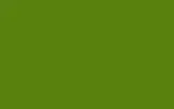 Автомобильная краска FORD, цвет ER - SIGNAL (SUMMERGIRL) TROPIC GREEN