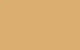 Автомобильная краска FORD, цвет 8 - NEVADA BEIGE