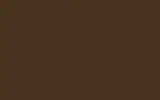 Автомобильная краска FORD, цвет HMS - SEPIA BROWN RAL8014-HR