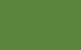 Автомобильная краска FORD, цвет FSS - MAY GREEN RAL6017-HR