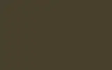 Автомобильная краска FORD, цвет Y = SVO COLOUR - OLIVE GREEN (NORW.ARMY)