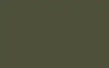 Автомобильная краска FORD, цвет FXS - OLIVE GREEN RAL6003-HR