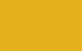 Автомобильная краска FORD, цвет ANS - LEMON YELLOW RAL1012-GL