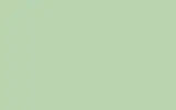 Автомобильная краска FORD, цвет DES - PASTEL GREEN RAL6019-GL
