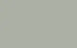 Автомобильная краска FORD, цвет 2E - PASTEL (OYSTER) GREY