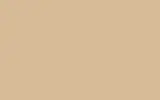 Автомобильная краска FORD, цвет 1292AK - SIERRA (RHOMBUS) BEIGE