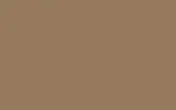 Автомобильная краска FORD, цвет 1295A - BEIGE TOSCANA/TUSCAN BEIGE