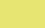 Автомобильная краска FORD, цвет R - CITRINE YELLOW