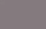 Автомобильная краска FORD, цвет 2710A - GREY VIOLETT