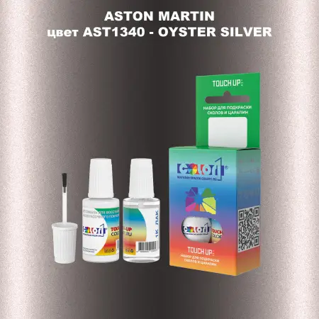Краска для сколов во флаконе с кисточкой ASTON MARTIN, цвет AST1340 - OYSTER SILVER