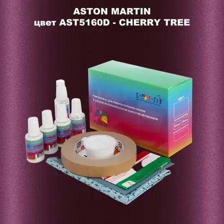 Ремкомплект для ремонта глубоких сколов и царапин ASTON MARTIN, цвет AST5160D - CHERRY TREE