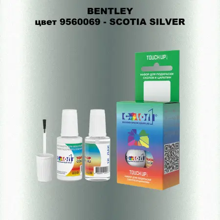 Краска для сколов во флаконе с кисточкой BENTLEY, цвет 9560069 - SCOTIA SILVER