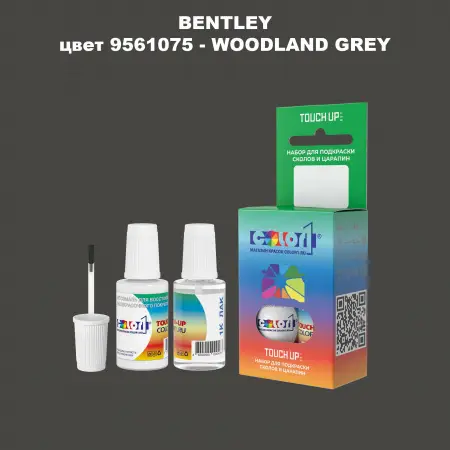 Краска для сколов во флаконе с кисточкой BENTLEY, цвет 9561075 - WOODLAND GREY