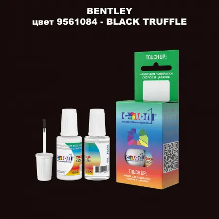 Краска для сколов во флаконе с кисточкой BENTLEY, цвет 9561084 - BLACK TRUFFLE
