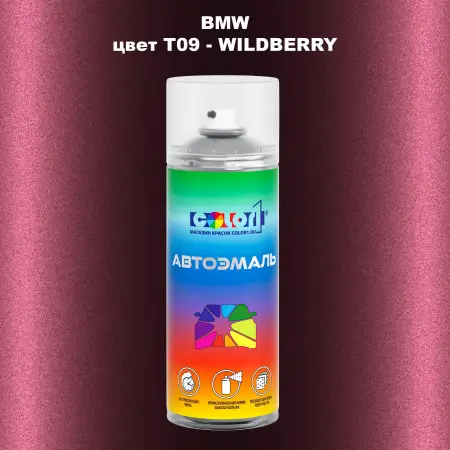 Аэрозольная краска BMW, цвет T09 - WILDBERRY