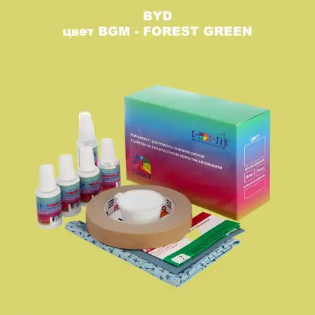 Ремкомплект для ремонта глубоких сколов и царапин BYD, цвет BGM - FOREST GREEN