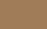 Краска для сколов во флаконе с кисточкой CHRYSLER, цвет RT6 - SADDLE TAN