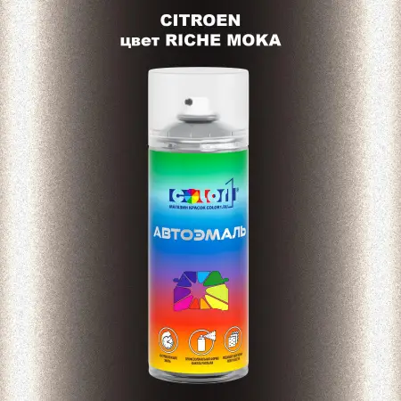 Аэрозольная краска CITROEN, цвет - RICHE MOKA