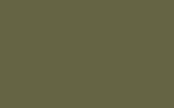 Аэрозольная краска FORD, цвет - SHERWOOD GREEN