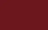 Аэрозольная краска FORD, цвет SVO273 - PURPLE RED RAL3004