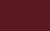 Аэрозольная краска FORD, цвет SVO176 - WINE RED RAL3005