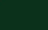 Аэрозольная краска FORD, цвет SVO109 - DEEP BRUNSWICK GREEN BS227