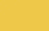 Краска для сколов во флаконе с кисточкой FORD, цвет DC - NEW RYDER YELLOW