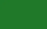 Аэрозольная краска FORD, цвет FPT - HBG GREEN FLN6260