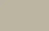 Аэрозольная краска FORD, цвет GKS - STONE GREY RAL7030-HR