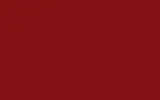 Краска для сколов во флаконе с кисточкой FORD, цвет EJAE - CARDINAL RED