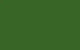 Аэрозольная краска FORD, цвет SVO144 - BRILLIANT GREEN BS221