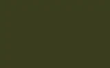 Аэрозольная краска FORD, цвет XUS - THAMES GREEN BS223