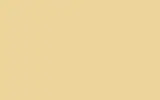 Аэрозольная краска FORD, цвет 16071 - MILD YELLOW