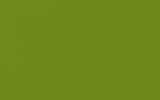 Аэрозольная краска FORD, цвет - TROPIC,SIGNAL GREEN
