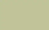 Краска для сколов во флаконе с кисточкой FORD, цвет BC - LIME GREEN