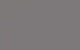 Аэрозольная краска FORD, цвет 2508A - LIGHT FLEXIBLE GREY