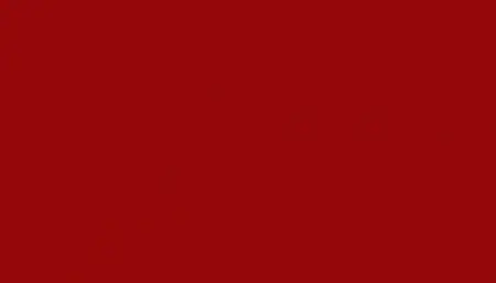 Ремкомплект для ремонта глубоких сколов и царапин FORD, цвет RR - ROJO REGIONAL