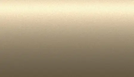 Ремкомплект для ремонта глубоких сколов и царапин FORD, цвет S - CHAMPAGNE GOLD