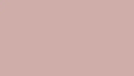 Ремкомплект для ремонта глубоких сколов и царапин FORD, цвет S - DUSK ROSE