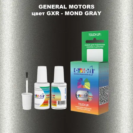 Краска для сколов во флаконе с кисточкой GM, цвет  GXR - MONDGRAY