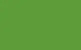 Аэрозольная краска HONDA, цвет 13041 - CONIFEROUS GREEN