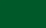 Краска для сколов во флаконе с кисточкой HONDA MOTORCYCLES, цвет G-46 - SPINACH GREEN