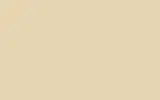 Краска для сколов во флаконе с кисточкой HONDA MOTORCYCLES, цвет YR-211 - VIRGIN BEIGE