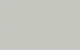 Краска для сколов во флаконе с кисточкой HYUNDAI, цвет LOGO - LIGHT GREY 421C