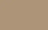 Аэрозольная краска MERCEDES TRUCKS, цвет 1789 - PAKISTAN BEIGE